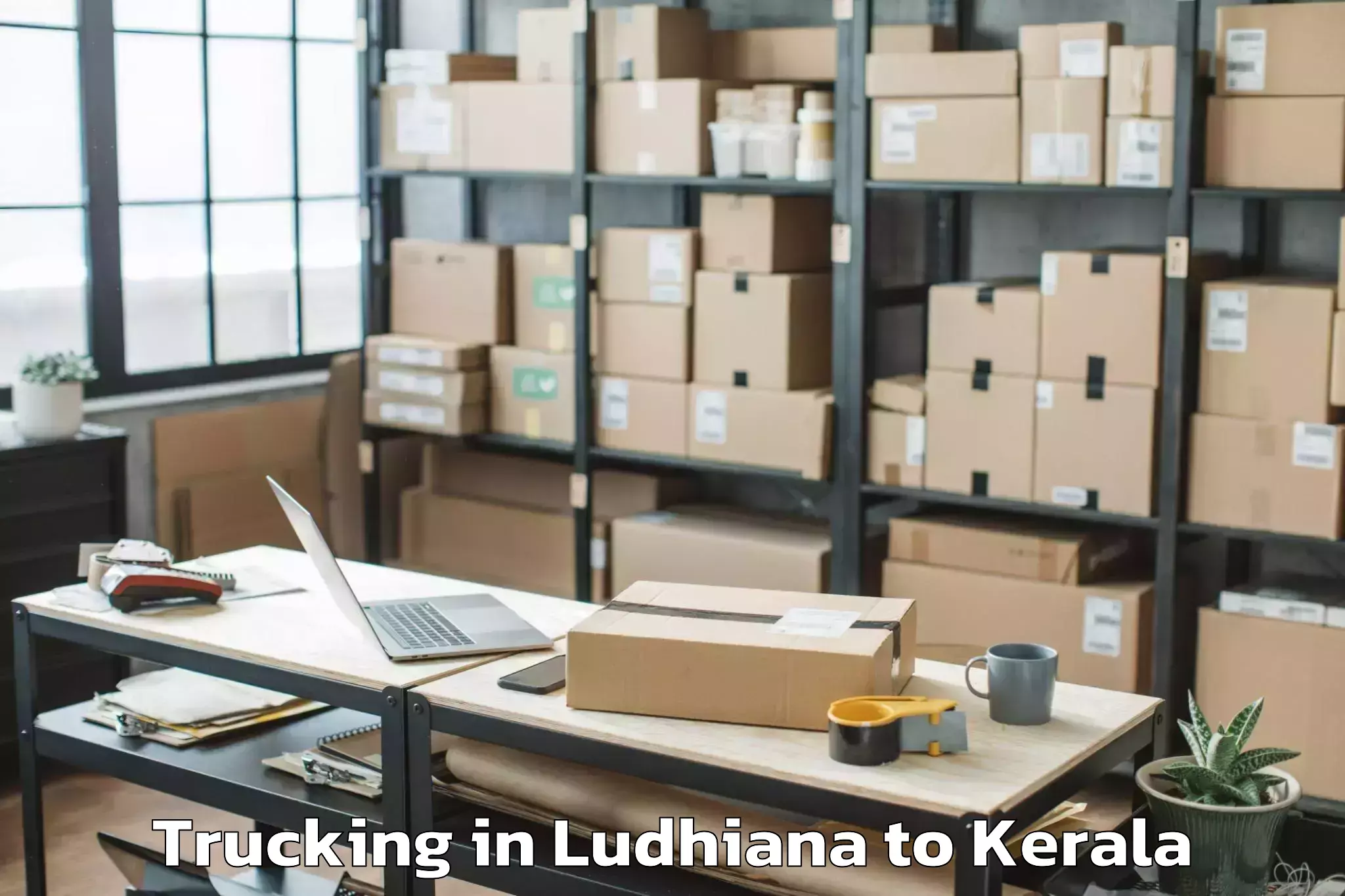 Hassle-Free Ludhiana to Mall Of Joy Kottayam Trucking